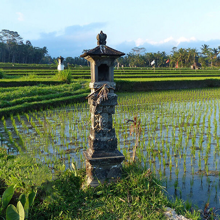 Voyage sur mesure à Bali - superbes paysages