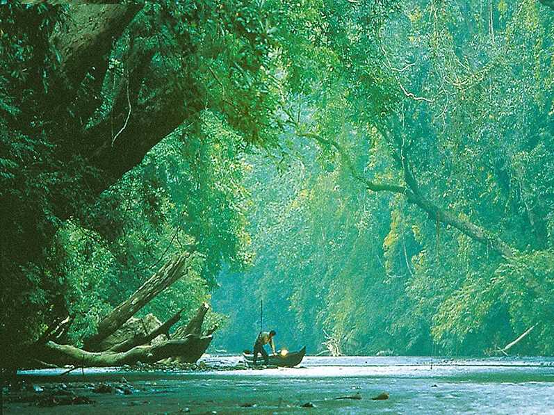 Circuit en Malaisie avec découverte du parc national de Taman Negara