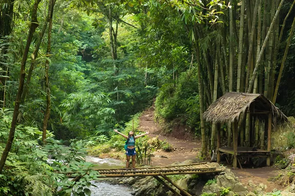 notre circuit comprend des balades au coeux de Bali la jungle balinaise