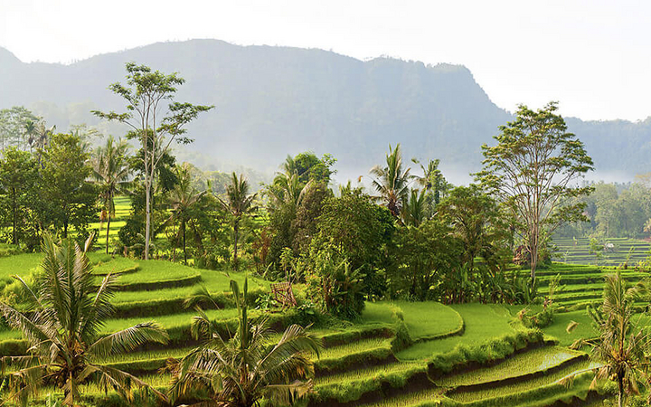 Voyage et vacances à Bali