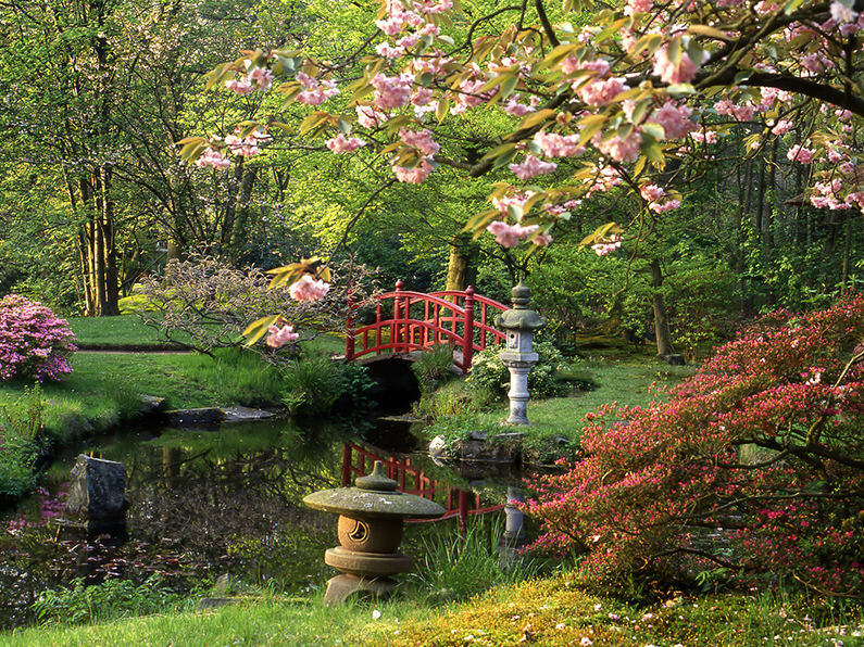 Les parcs zen au Japon