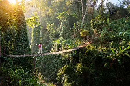 Promenade sur un pont suspendu parc national Malaisie