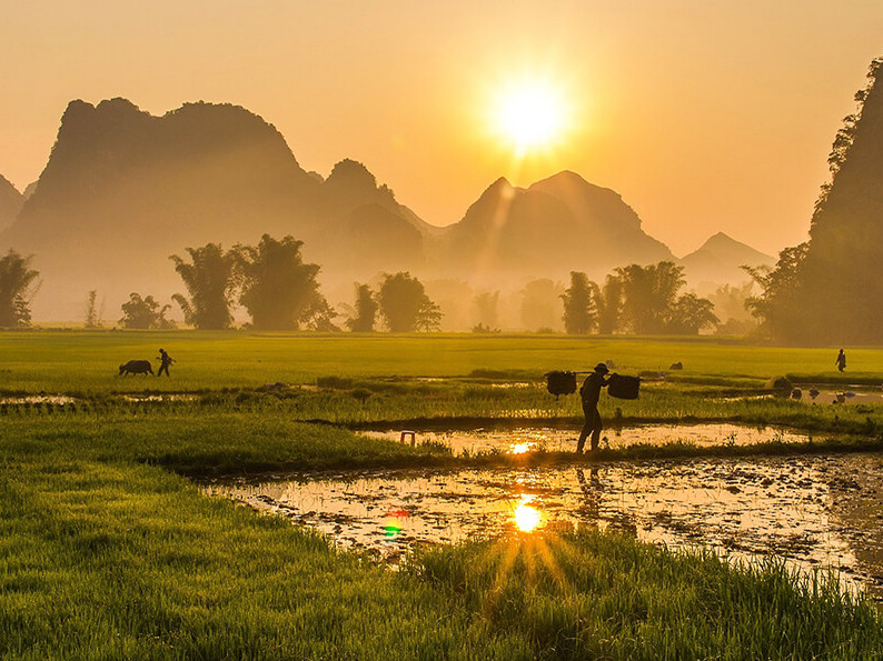 Coucher du soleil dans la région du Mékong, grenier à riz
