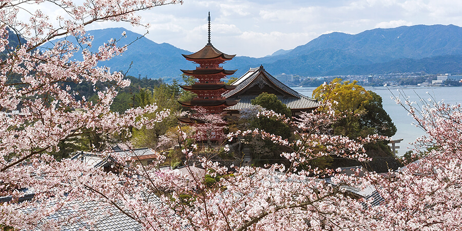 Un raison supplémentaire de visiter le Japon pendant la saison des cerisiers en fleurs