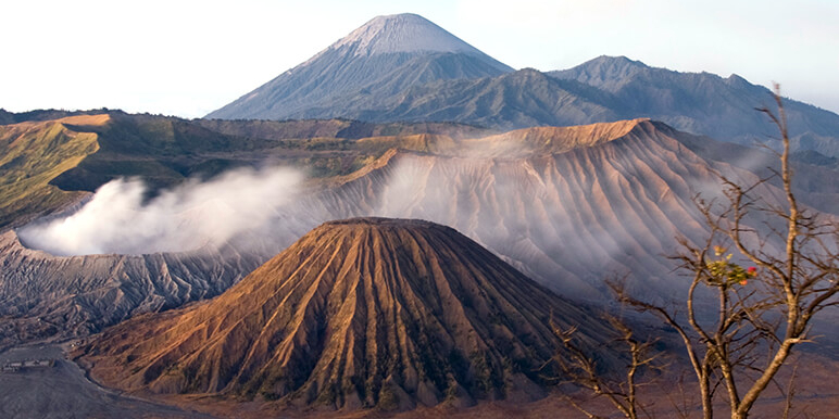 Terre volcanique à Java