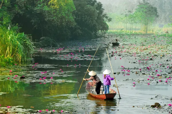 Paysages tropicaux dans le delta du Mékong