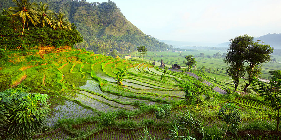 Réserver un voyage à Bali et profiter d'une destination attractive