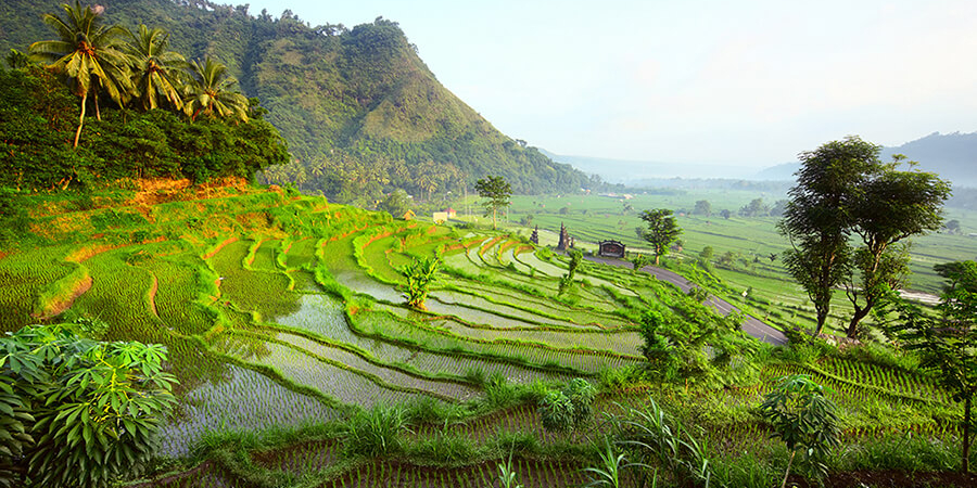 Circuit Bali Discovery avec merveilleux paysages
