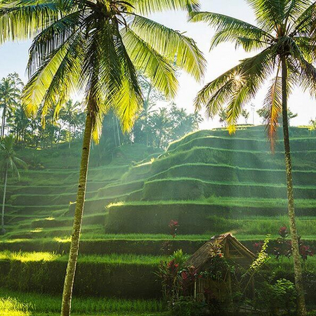 Agence de voyage pour Bali