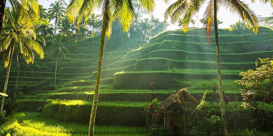 Visiter Bali avec un séjour à l'hôtel Pita Maha Ubud
