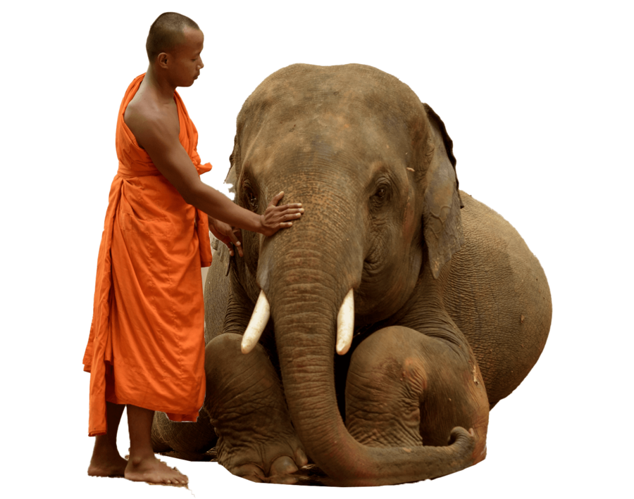 Quand partir au Laos