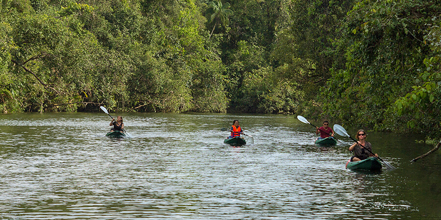 Kayaking dans le parc Cardamom Cambodge