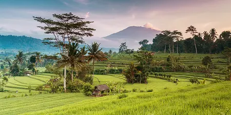 Randonnées et Trekking à Bali avec Lotus Voyages