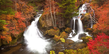 Visiter le Japon en automne