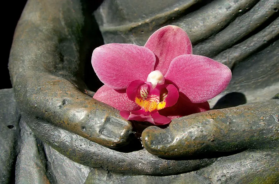 Entre de bonnes mains - Lotus Voyages