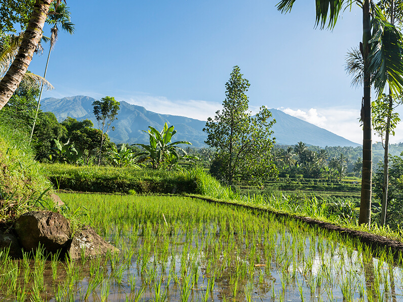Vacances à Bali avec Lombok