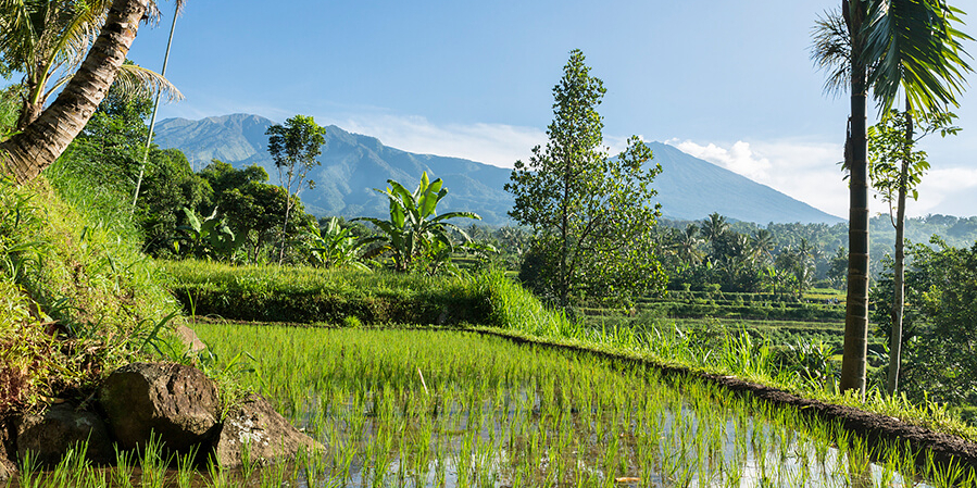 Merveilleux paysages à Lombok