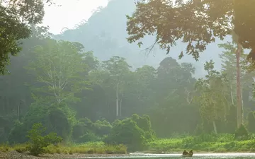 Malaisie - voyage organisé depuis la Suisse