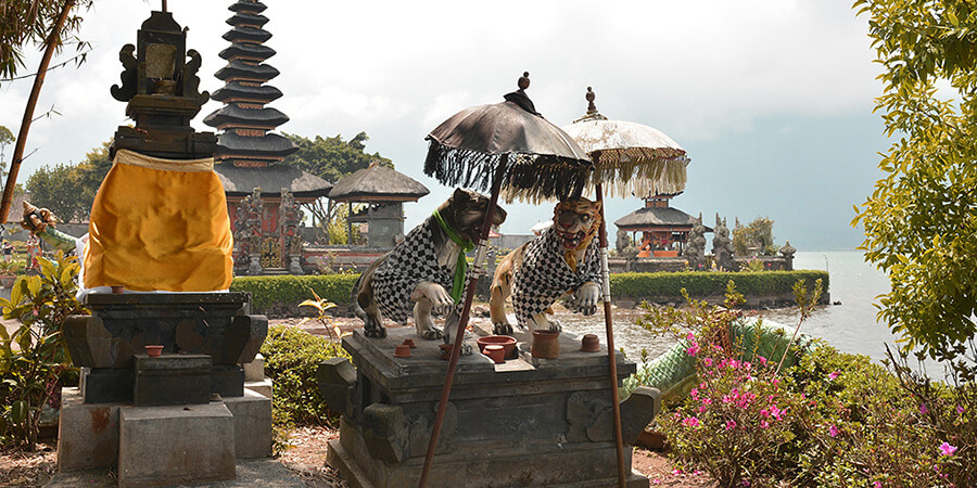 Votre agence de voyage spécialisée pour Bali connaît les plus beaux endroits