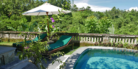 Pool Villa avec piscine privative à Ubud