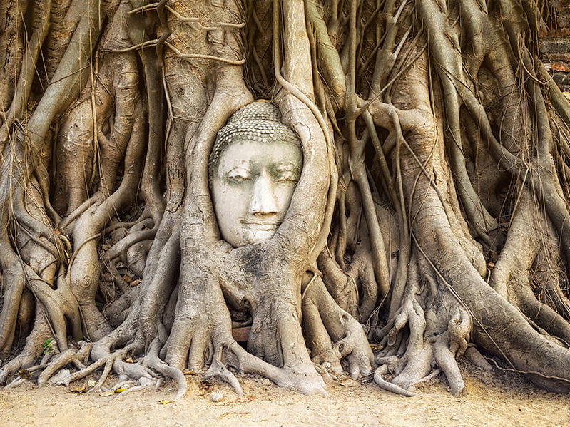 Circuit au Cambodge avec Angkor Wat