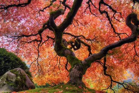 L'automne est une très belle saison pour visiter le Japon