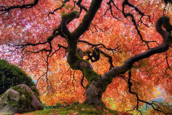 L'automne est une très belle saison pour visiter le Japon
